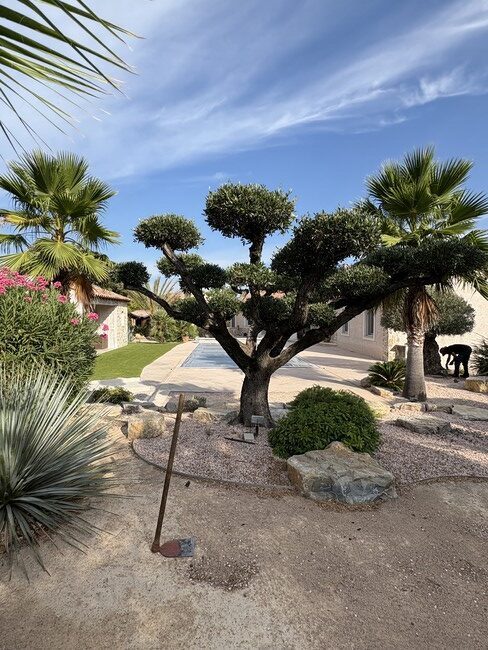 Entretien de Jardin à Le Muy