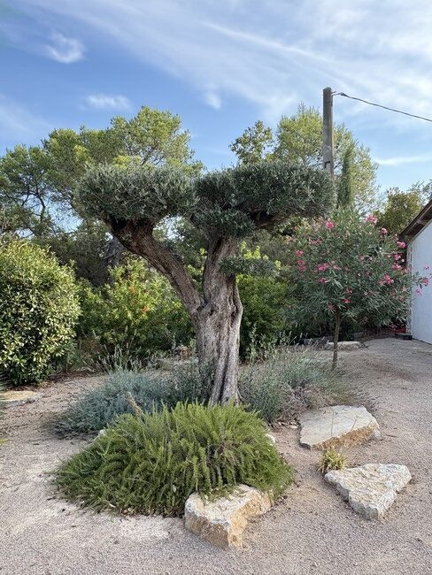 Entretien de Jardin à Le Muy