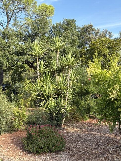Entretien de Jardin à Le Muy